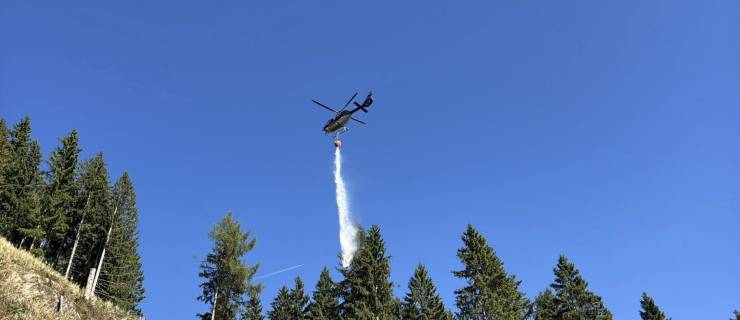 Waldbrand-Übung