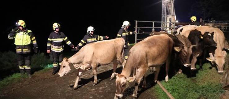 Wirtschaftsgebäudebrand