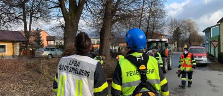 Gerüst für Storchennest