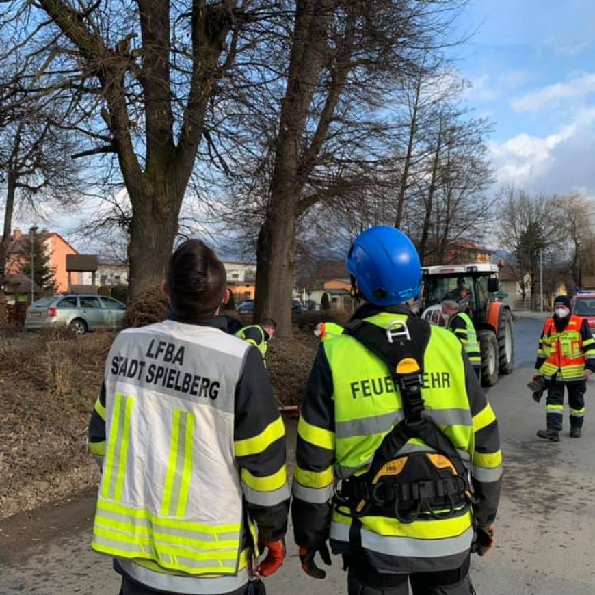 Gerüst für Storchennest