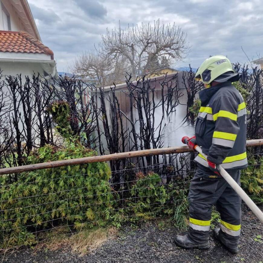 Brand einer Thuje