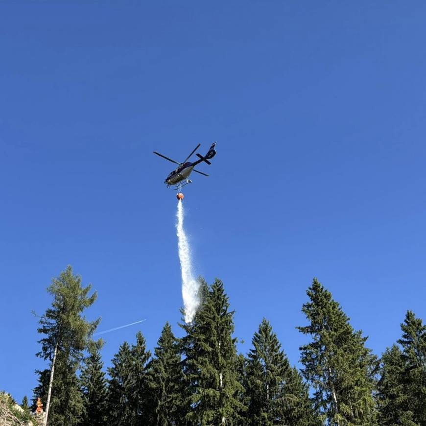 Waldbrand-Übung